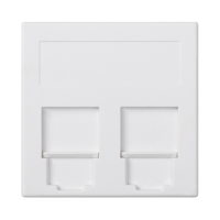 Płytka S500, 2x RJ z osłonami, PANDUIT, czysta biel 50019089-030 Simon Connect | 50019089-030 Kontakt Simon