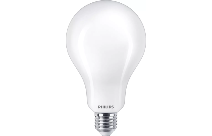 Lampa LED classic 200W 3452lm A95 E27 CDL 6500K FR ND 1PF/4 matowa | 929002373101 Philips