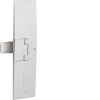 Płytka drzwiowa z uchwytem i ryglem do obudowy IP30/43 | FZ598 Hager