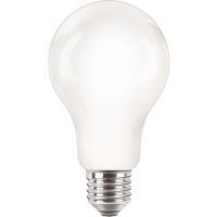 Lampa LED classic 120W 2000lm A67 E27 CW 4000K FR NDRF1SRT4 matowa | 929002371901 Philips