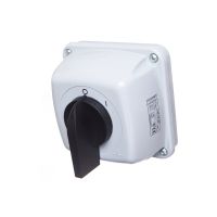 Łącznik krzywkowy ŁUK 25-53 | 922553 Elektromet