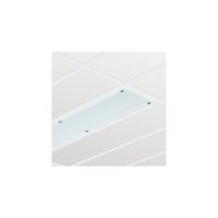 Oprawa ścienna/sufitowa CR250B LED 55S/840 PSD W30L120 IP65 | 910503910174 Philips