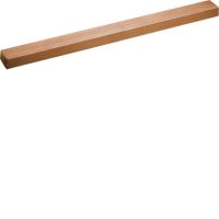 Szyna Cu 20x10mm 2-polowa, Univers | UM22B Hager