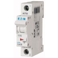 Wyłącznik nadprądowy 1-bieg. PLSM 10kA 1A B, PLSM-B1-MW | 242165 Eaton