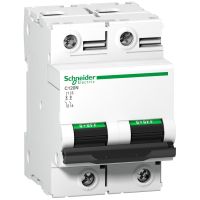 Wyłącznik nadprądowy C 120N 10KA B80 2P, Acti 9 | A9N18345 Schneider Electric