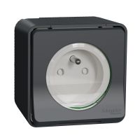 Gniazdo 2P+PE, zaciski śrubowe, antracyt, Mureva | MUR36030 Schneider Electric