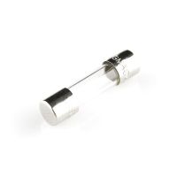 Bezpiecznik topikowy zwłoczny 250mA | B-250 F&F