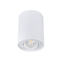 Oprawa sufitowa punktowa BORD DLP-50-W mat 1XGU10 | 22551 Kanlux