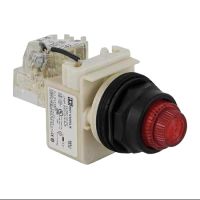 Przycisk do testu Fi-30mm zielony 24 V AC/DC metalowy ośmiokątny | 9001KT35LRR31 Schneider Electric