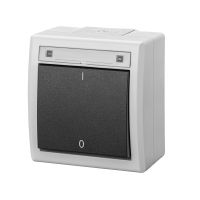 Łącznik natynkowy 2-biegunowy IP55 szary 7035/7016, AQUANT 2K | 5003-10 Elektro-Plast Nasielsk