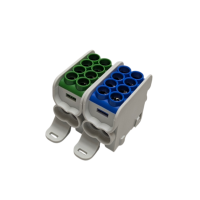 Blok dystrybucyjny, rozdzielczy HLAK 25 2P 2xAl/Cu 25mm²+16mm² 1000VAC/1500VDC niebieski, zielony | MAG2251BG0 Morek
