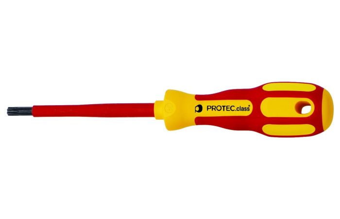 Wkrętak Torx PTXSD T20 20x80mm 053948 | 05103463 PROTEC.class