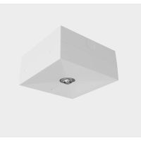 Oprawa awaryjna LV3N IP20 LED 1W, 3h jednozadaniowa biała | LV3N/U/1W/B/3/SE/X/WH Awex