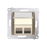 Pokrywa gniazd teleinformatycznych na Keystone skośna podwójna z polem opisowym (moduł), złoty mat | DKP2S.01/44 Kontakt Simon