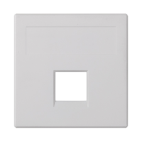 Płytka S500, 1x RJ bez osłon, PANDUIT, czysta biel 50019185-030 Simon Connect | 50019185-030 Kontakt Simon