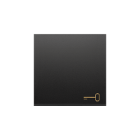 Klawisz pojedynczy z piktogramem klucza do łączników/przycisków, czarny mat, Simon 54 | DKWK1/49 Kontakt Simon