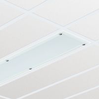Oprawa ścienna/sufitowa CR250B LED 55S/840 PSD W30L120 IP65 | 910503910174 Philips