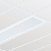 Oprawa ścienna/sufitowa CR150B LED 35S/840 PSD W30L120 IP54 | 910503910178 Philips