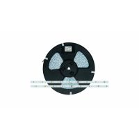 Taśma LED 300 2835 SMD 24W 24V 113lm/W IP20 Biała Zimna 6500K Ra80 50m | 16-1066-64 LED Labs