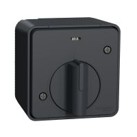 Łącznik czasowy antracyt, Mureva | MUR35067 Schneider Electric