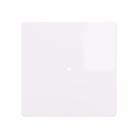 Klawisz pojedynczy 1/1 do ABB-free@home, 6620T-A01000 500, Zoni biały  | 2CHT621000A4500 ABB