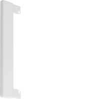 Końcówka do przebicia w ścianie 65x130, biały, tehalit.BRN65/ BR65 | BR130WK9016 Hager