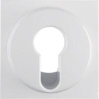 Płytka czołowa do łącznika na klucz, biały, połysk, B.x/S.1 | 15078989 Hager