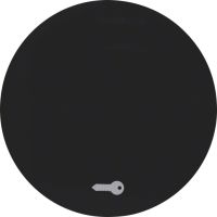 Klawisz z nadrukiem symbolu "klucz" do łącznika klawiszowego pojedynczego, czarny, połysk, R.1/R.3 | 16202015 Hager