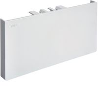 Końcówka 65x130, jasnoszary, Tehalit.BRP | BRP6513067035 Hager