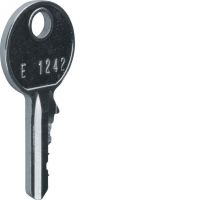 Klucz zapasowy do zamka FZ597 1242E IP44/IP54, Univers | FZ596 Hager