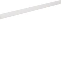 Pasek opisowy do FZ24Mx samoprzylepny | VZ324BS Hager