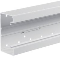 Kanał PVC tehalit.BRP podstawa 65x130, biały | BRP6513019016 Hager