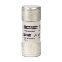 Wkładka bezpiecznikowa cylindryczna 22x58mm 40A 690VAC gG | DF2FN40 Schneider Electric