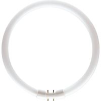 Świetlówka kołowa MASTER TL5 Circular 60W/840 2GX13 | 927966084013 Philips