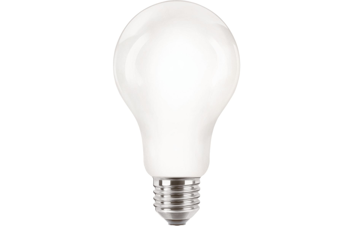 Lampa LED  classic 120W 2000lm A67 E27 WW 2700K FR NDRFSRT4  matowa | 929002371801 Philips