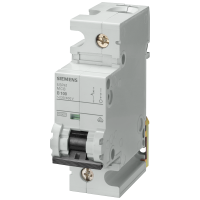 Wyłącznik nadmiarowo-prądowy 230/400 V 10 kA, 1-bieg., B, 100 A, głęb.=70 mm | 5SP4191-6 Siemens