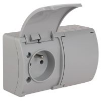 Gniazdo podwójne z/u (2x2P+Z) n/t IP44 z klapką VG 162-03, szare, Koala | 61.382 Elektro-Plast Opatówek