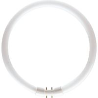Świetlówka kołowa MASTER TL5 Circular 55W/830 2GX13 | 927965783013 Philips