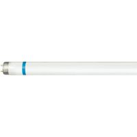 Świetlówka liniowa MASTER TL-D Secura 18W/840 G13 | 927920484076 Philips