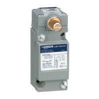 Łącznik krańcowy 9007 | 9007C54B2M11 Telemecanique Sensors