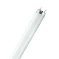 Świetlówka liniowa LUMILUX T8 30 W/880 | 4008321027986 Ledvance