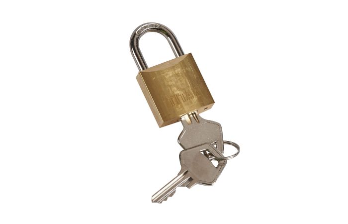 Kłódka do blokowania dźwigni załączającej dla TX3 I DX3 | 406313 Legrand