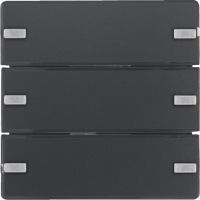 Przycisk potrójny z polem opisowym, diodami LED RGB i czujnikiem temperatury, antracyt, KNX e/s Q.x | 80143326 Hager