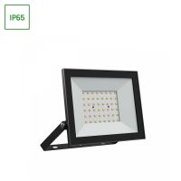 Naświetlacz LED NOCTIS LUX 4 50W 4300lm CW 6000K 230V IP65 176x137x25mm czarny | SLI029073CW_PW Wojnarowscy