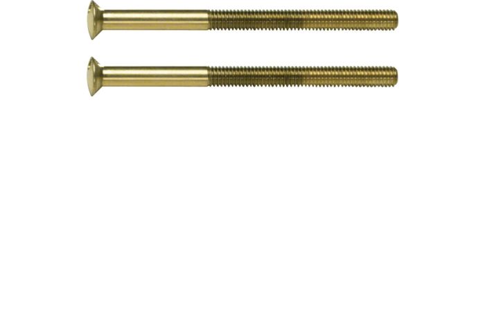 Śruba z dwoma otworami M3,5 x 50 mm, złoty, Berker TS | 189512 Hager