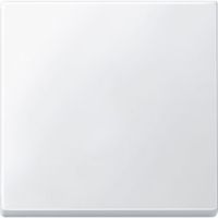 Klawisz pojedynczy, Merten, System M, biały polarny (mat) | 433119 Schneider Electric