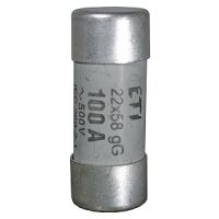 Wkładka topikowa bezpiecznikowa cylindryczna 22x58mm 16A gG 690V CH22 (zwłoczna) | 002640009 Eti