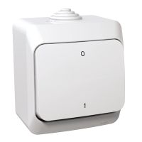 Łącznik 2P biały Cedar plus | WDE000520 Schneider Electric