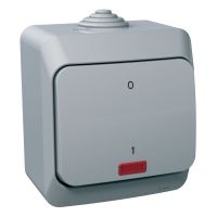 Łącznik 2P szary z podświetleniem, Cedar Plus | WDE000621 Schneider Electric