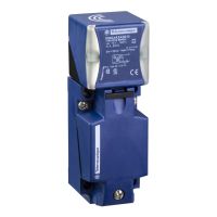 Czujnik indukcyjny RECT 40X40X117 12 24V | XS9C4A2A2G13 Telemecanique Sensors